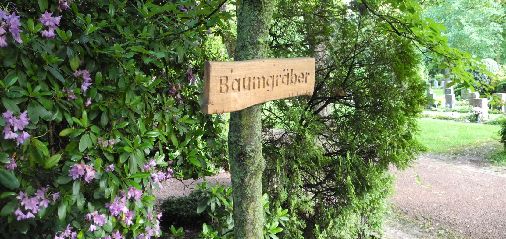 Naturnahe Baumbestattung